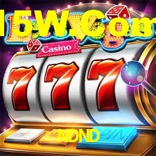 Basketball Betting NDND