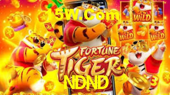 NDND,ndnd.com