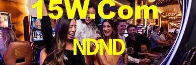 Daily Bonuses NDND